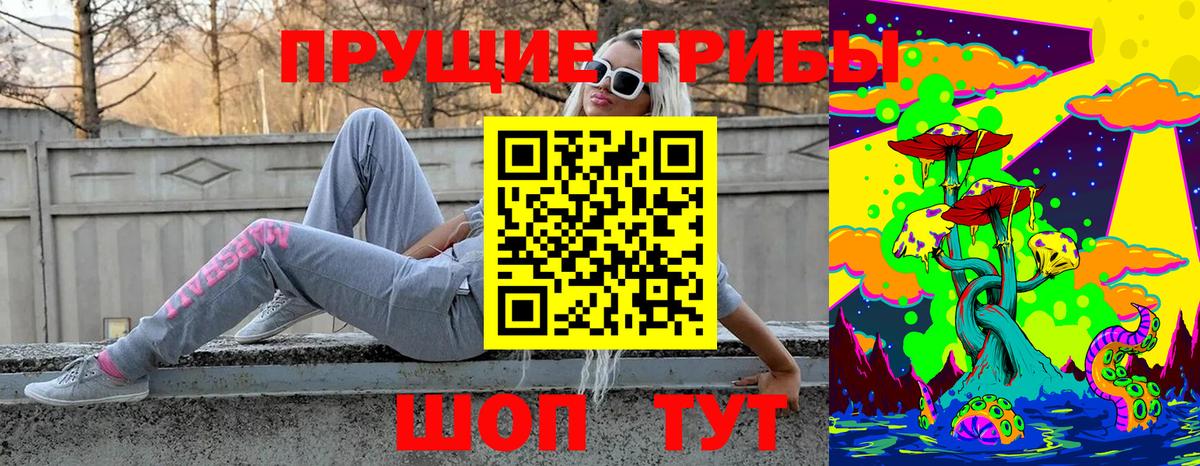 Галлюциногенные грибы Psilocybe  Вход с VPN  Краснознаменск  Псилоцибиновые грибы прущие грибы 